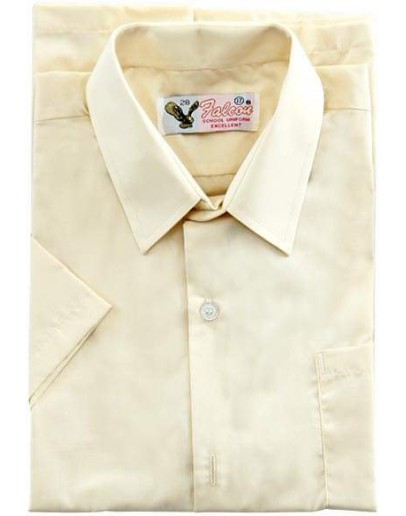 Color Shirt -Short Sleeve (Beige) 311B/EX