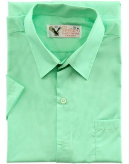Color Shirt -Short Sleeve (Green) 311G/EX